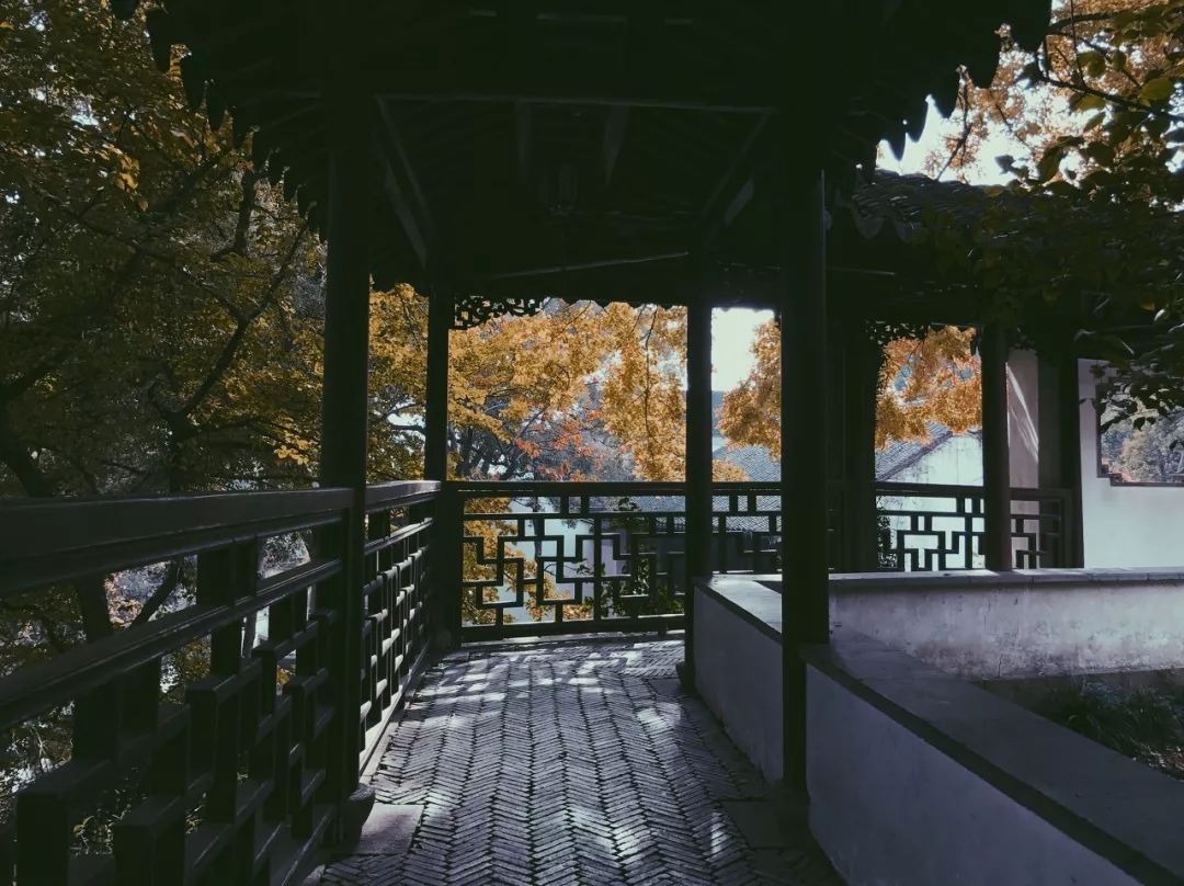 一入秋苏州成姑苏,秋色一入秋苏州就成了姑苏