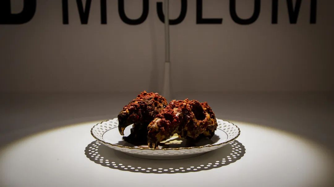 成都找不到好吃的牛肉粉,成都很难找的美食店