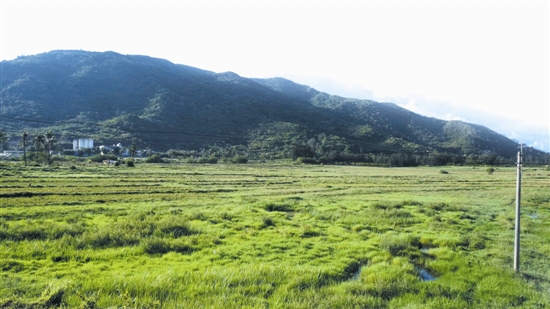 清水湾买房的优点,遇见清水湾完整视频