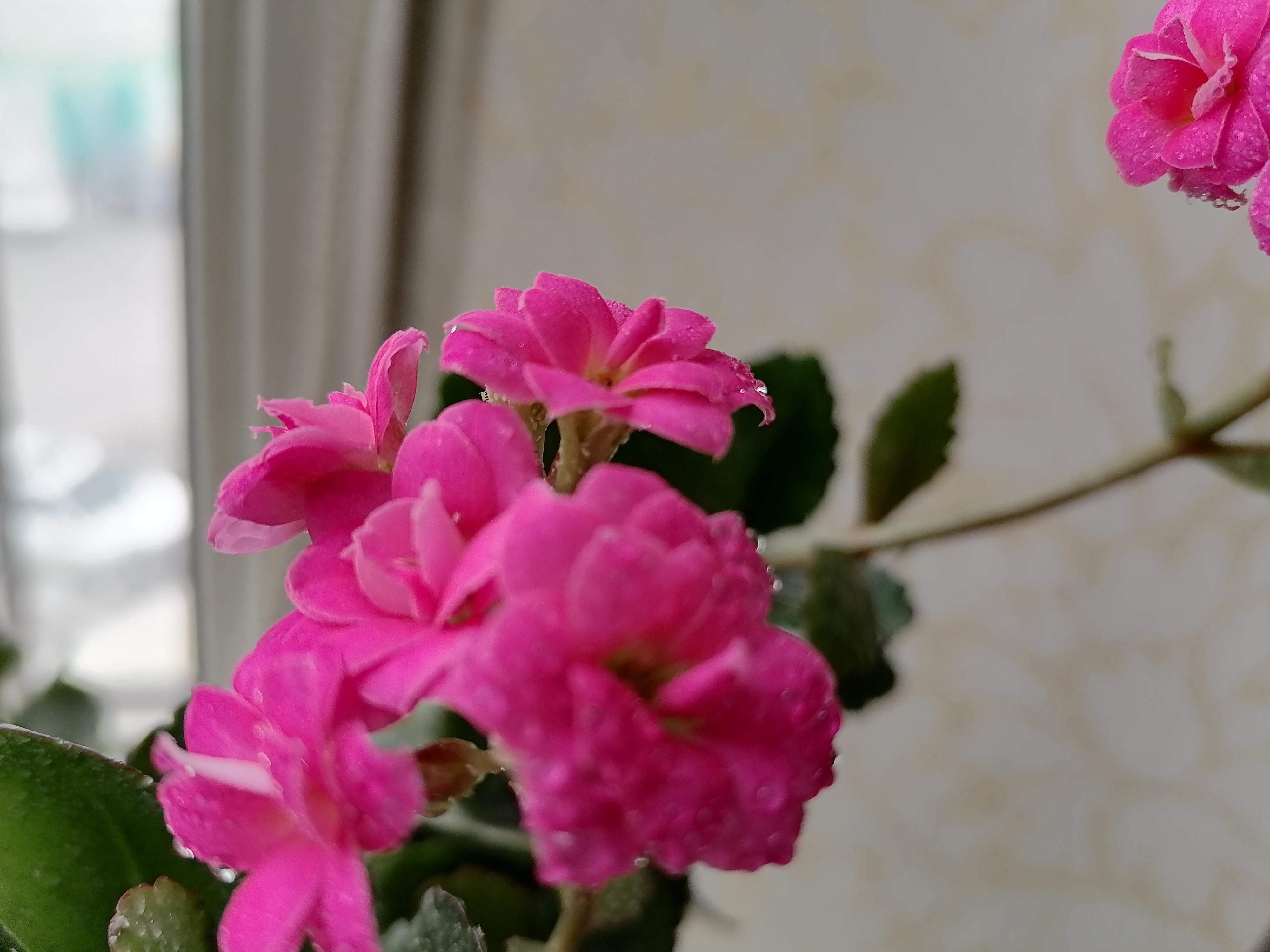 金子是怎么炼的,金子是如何熔炼出来的