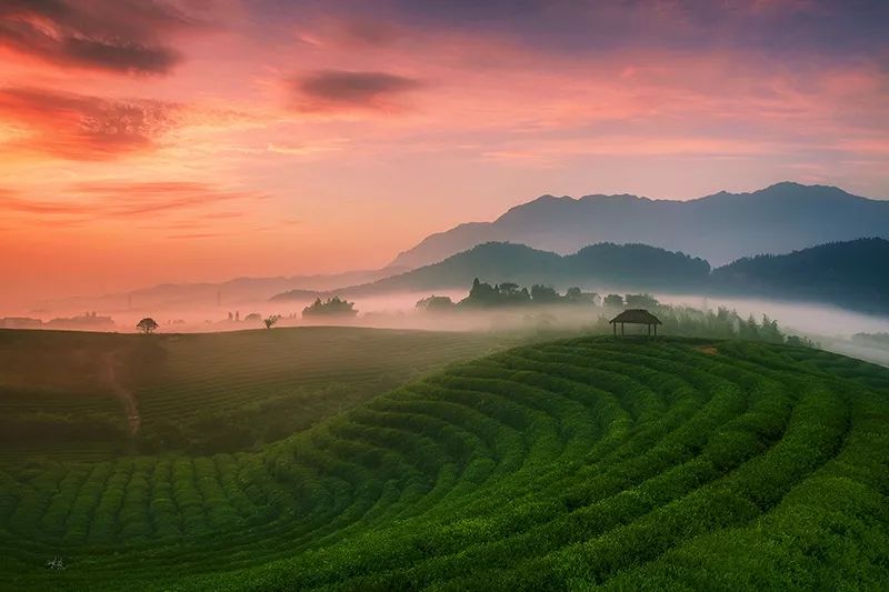 杭州为什么幸福感最好,杭州为什么最具幸福感