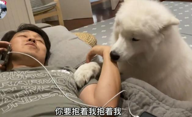 有一只太粘人的狗是什么体验,有一只特别粘人的狗