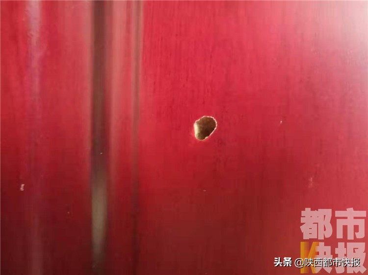 门缝里总是异响像虫子叫一样,半夜门里有虫子吱吱响怎么办