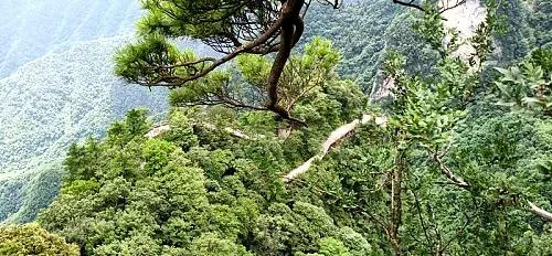 采一片天竺山的云朵别在发梢，带你感受云中漫步的奇妙幻境