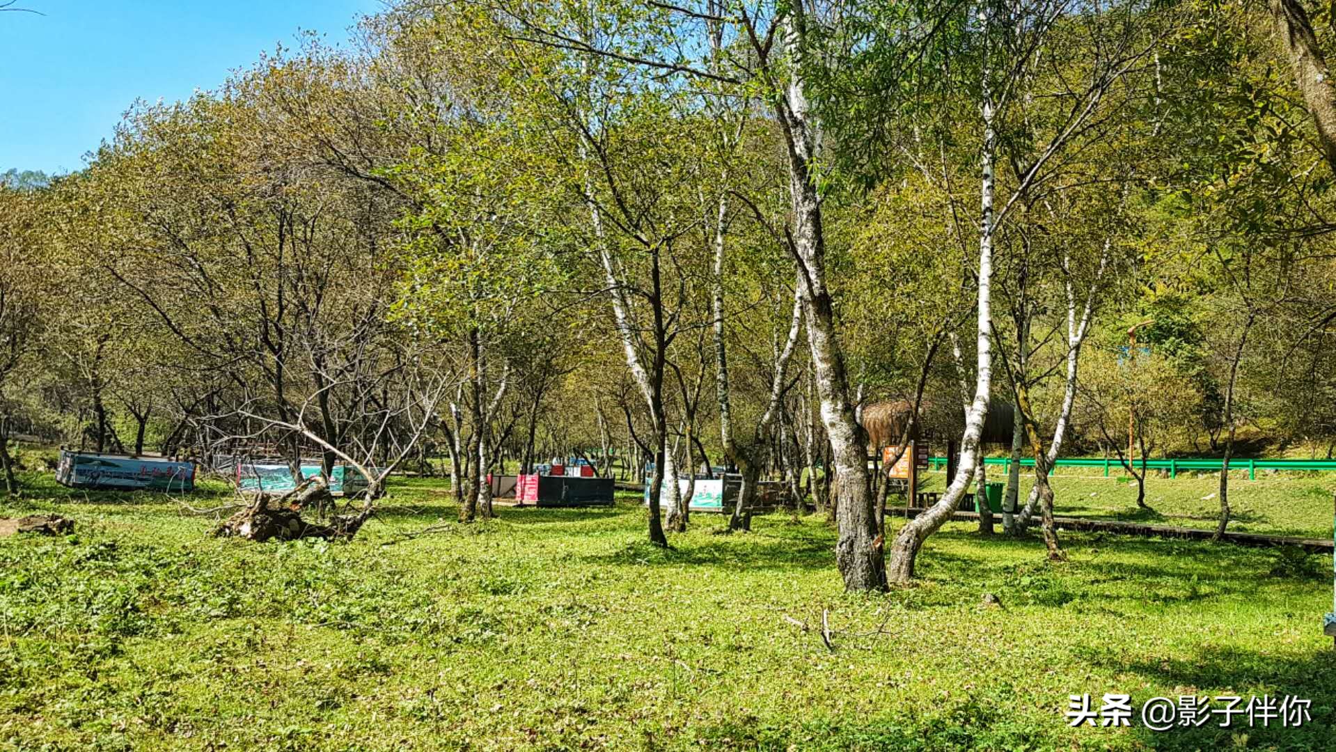宝鸡大水川,宝鸡大水川好不好玩
