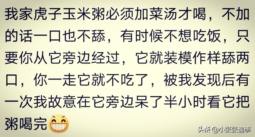 狗狗太肥了怎么才能给它减肥呢,爷爷说狗狗太胖了要减肥