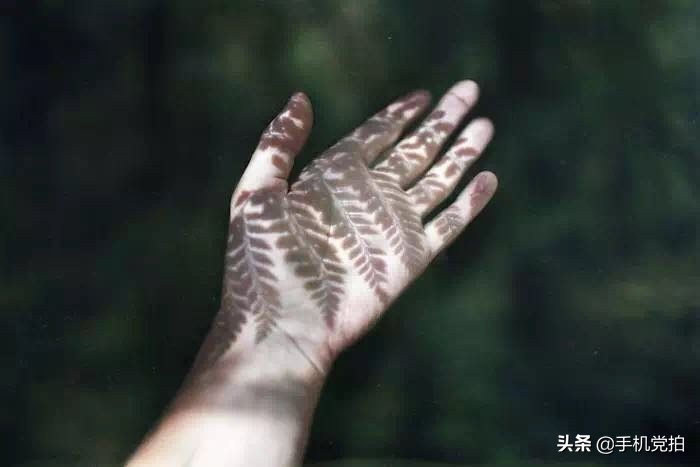 生活小妙招手机摄影,生活小妙招如何拍出爆款