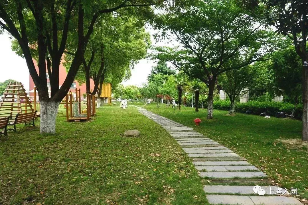 探园|这所幼儿园堪称“天然氧吧”!开办2年人气超高!报名人多