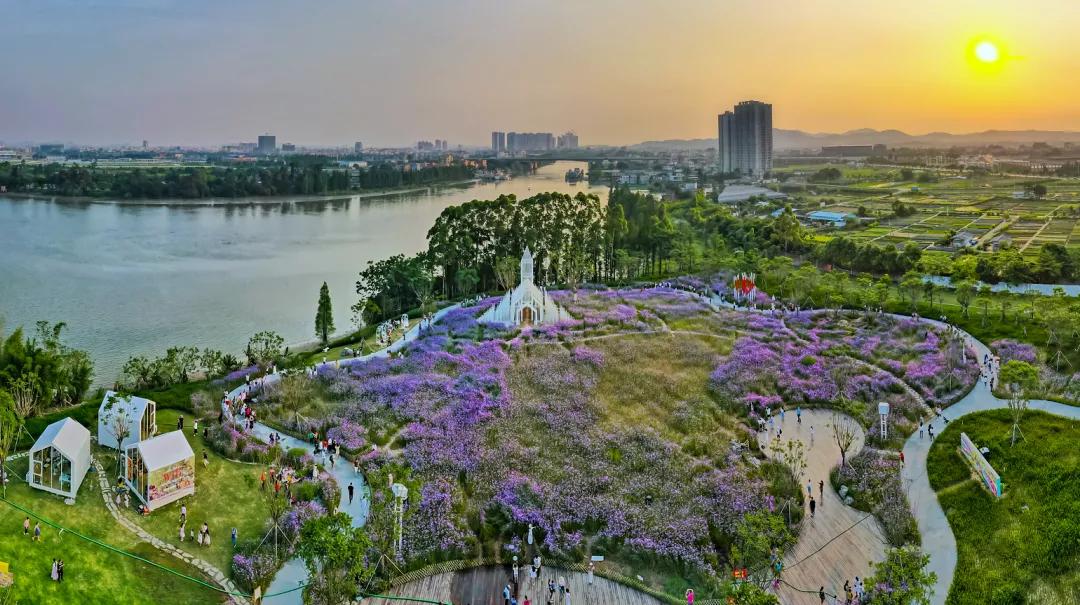 南海第一梯队小学,南海九江中学第一梯队