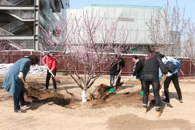 街道党工委党建工作内容,直属党工委是什么