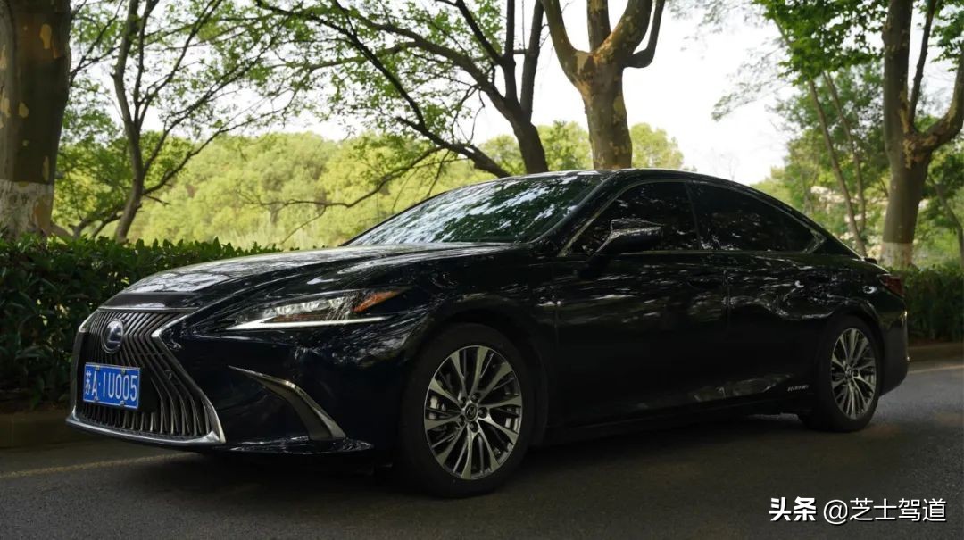 雷克萨斯追玛莎,雷克萨斯追爱