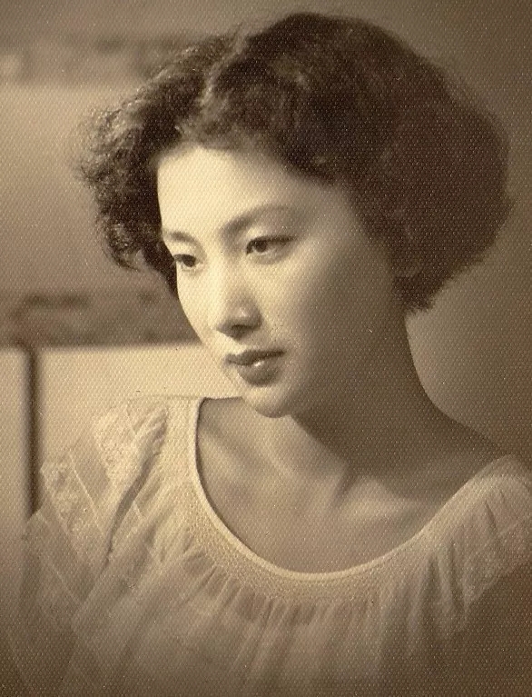 绝代佳人夏梦小说,绝代佳人夏梦简介