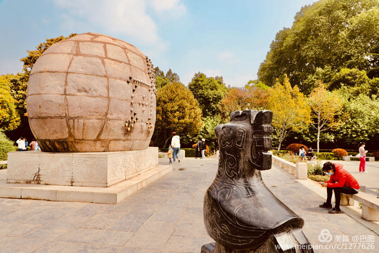 看洛阳牡丹花卉节,洛阳古都牡丹花展