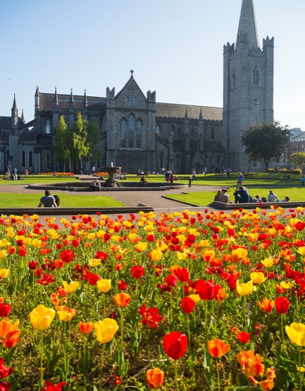 照相机是怎么拍出照片的,照相机是如何快速成像