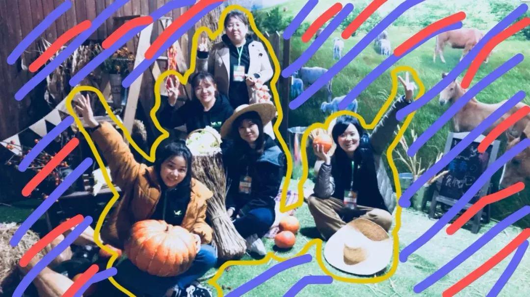 有机产品为什么这么贵,有机食品为什么那么贵