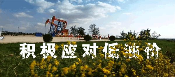 【官微会客厅·厂长面对面】低油价下提交的大厂“样本”!