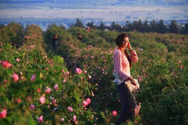 丹泽欧雅,丹泽欧雅富勒烯多肽焕颜面膜