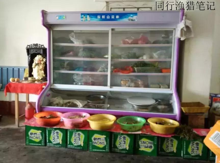 钓鱼记录2019,最新的钓鱼日记