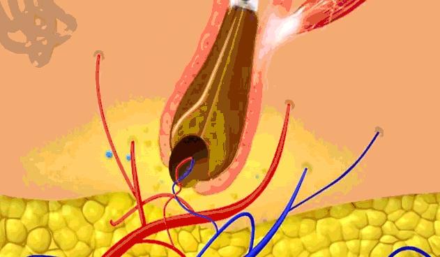 明星亲测|康王创始人83岁再出山，挑战5天内不洗头