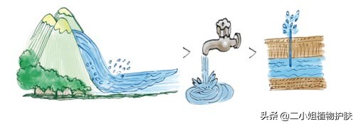 纯露初学者入门教程,十大公认好用的纯露