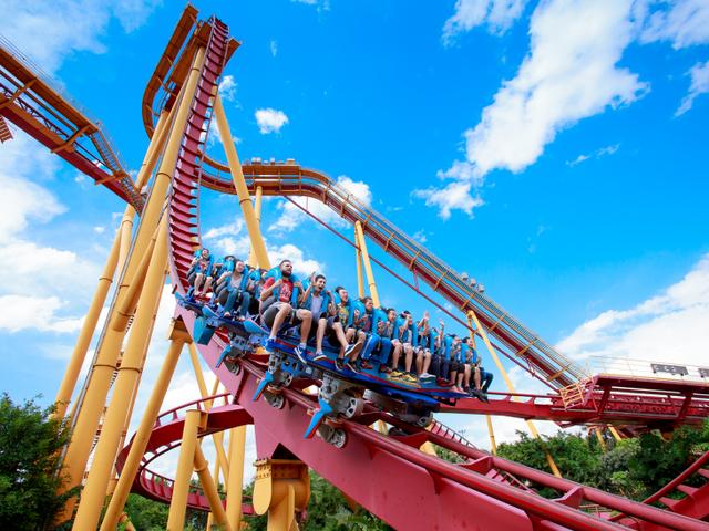 广州天气春夏秋冬,春夏秋冬不一样的广州