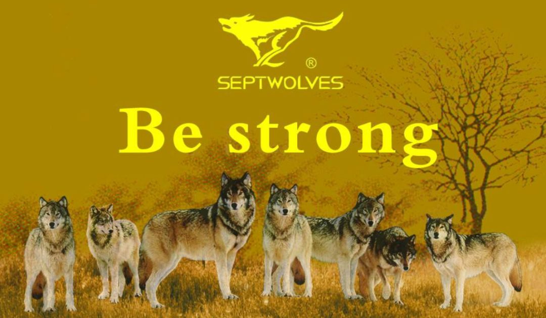 teenieweenie是什么牌子,teenieweenie是什么档次