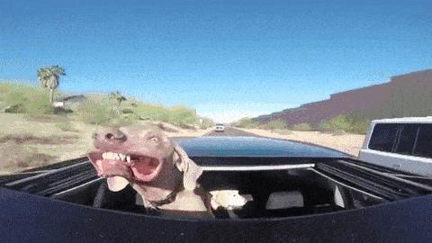 英语口语我听不懂怎么说,英语口语我觉得你说的不对