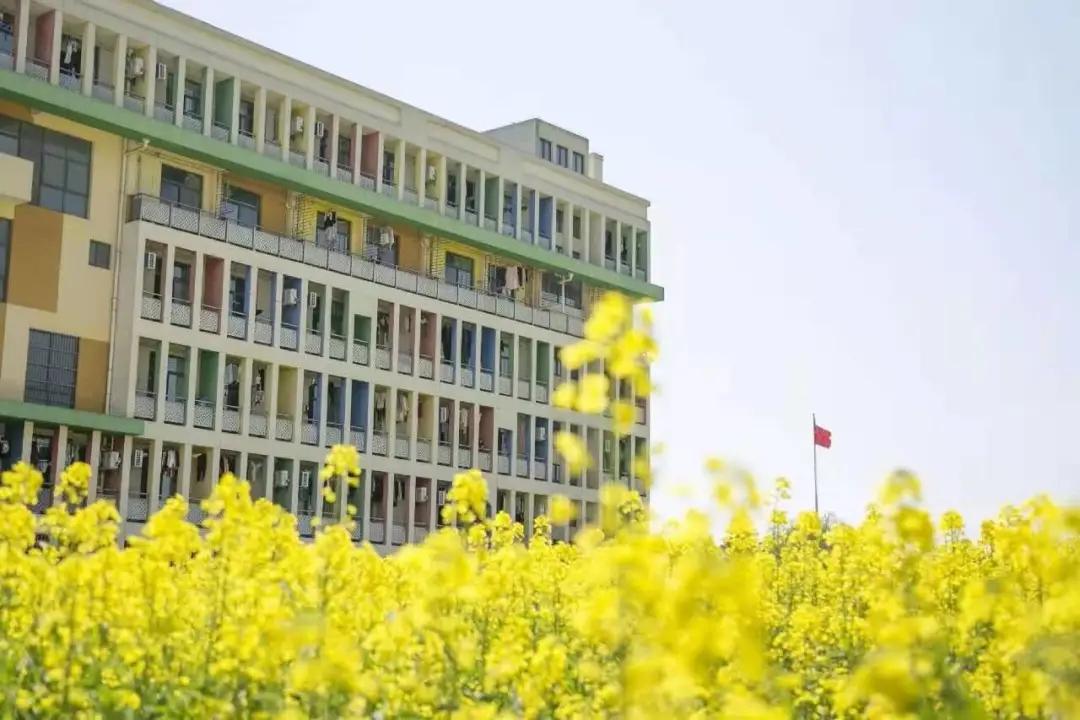 杭州美职学校风景,杭州美丽学校评选