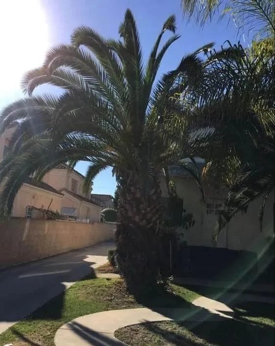 美国中餐馆打hei工的生活，每月收入2万.为好生活远走他乡。