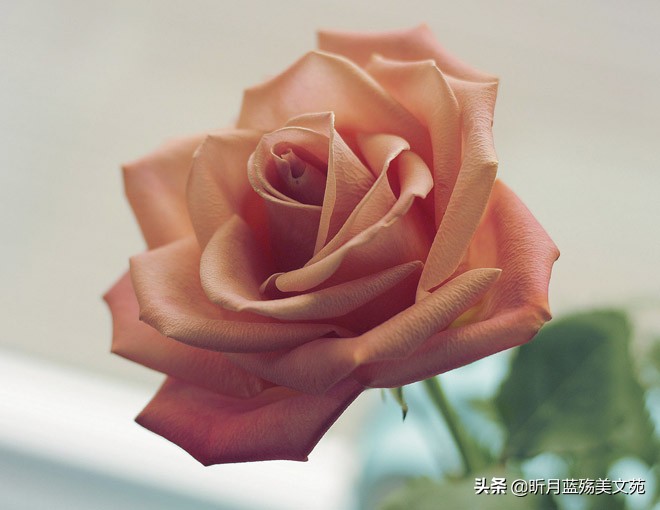 惟愿时光静好余生浅笑安然的图片,惟愿时光静好余生浅笑安然配乐