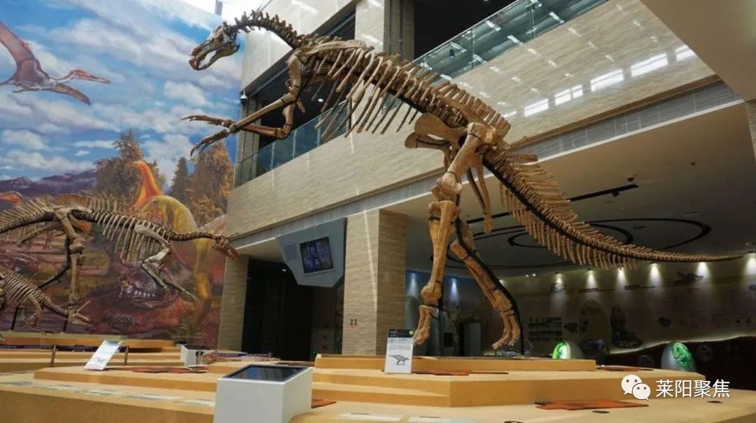 属相排位的由来,十二属都是啥