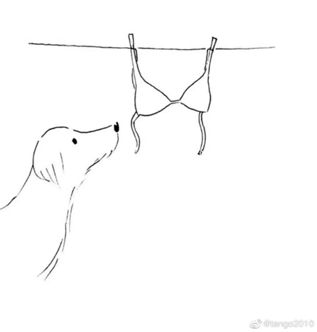 60张脑洞大开的沙雕漫画,张张有笑点,看完忍不住笑出猪叫