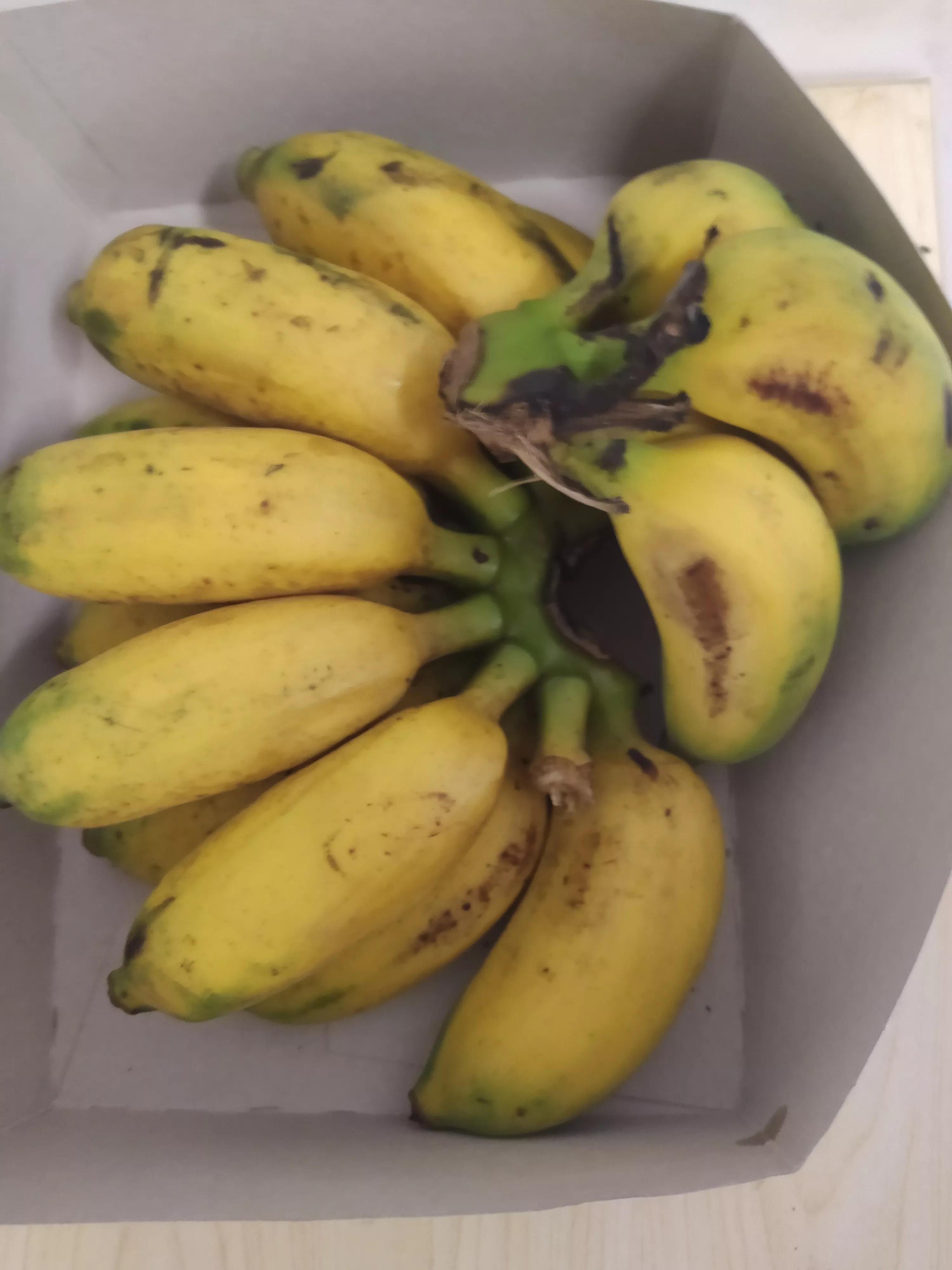 香蕉买回来是绿的怎么办,绿色的香蕉怎么能快速熟透