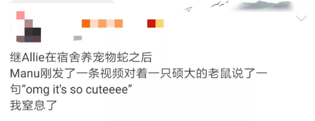 那些年舍友养过的奇葩宠物,你们身边的人都养什么奇怪的宠物