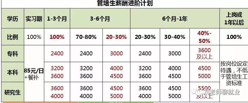 赛轮金宇公司,赛轮金宇集团最新消息