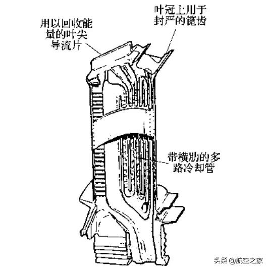 747遄达800,遄达800用在哪些机型上