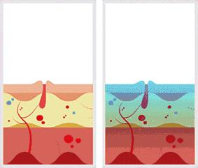 药学博士护肤品选择,药学博士眼里的护肤品