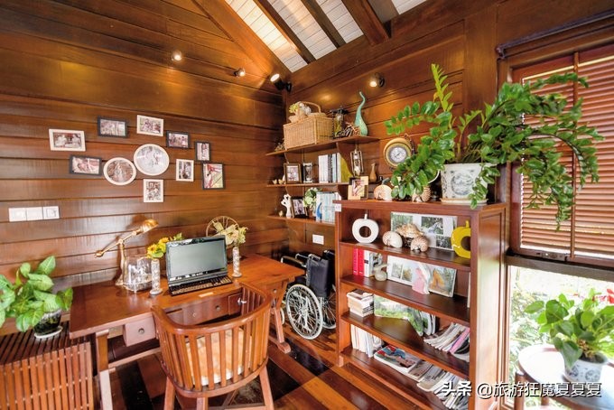 在三亚感受亚龙湾的惬意,三亚亚龙湾热带雨林美景