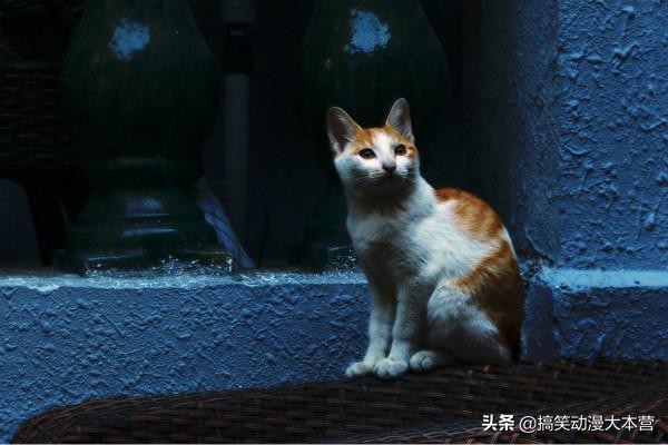 开心一刻：我只是做错了一件事，被老婆罚跪遥控器，还不允许换台