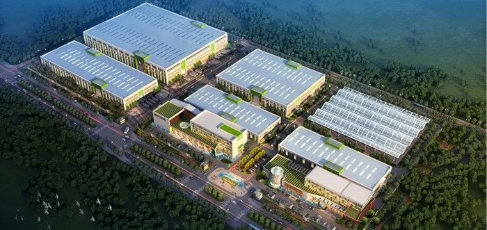 聚焦产业发展凝聚敢闯敢干的动力,聚焦加油鼓劲