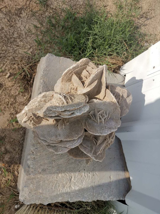 中国人赴沙特打工感受,在沙特打工的中国人现在能回国吗