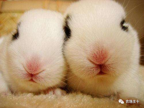 从乞丐到身价200万仅用一年时间,从乞讨到名相的传奇人生