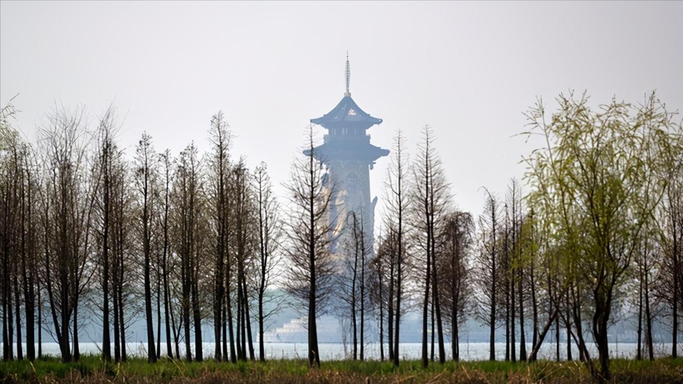 华东江苏篇,浅谈全国各省份