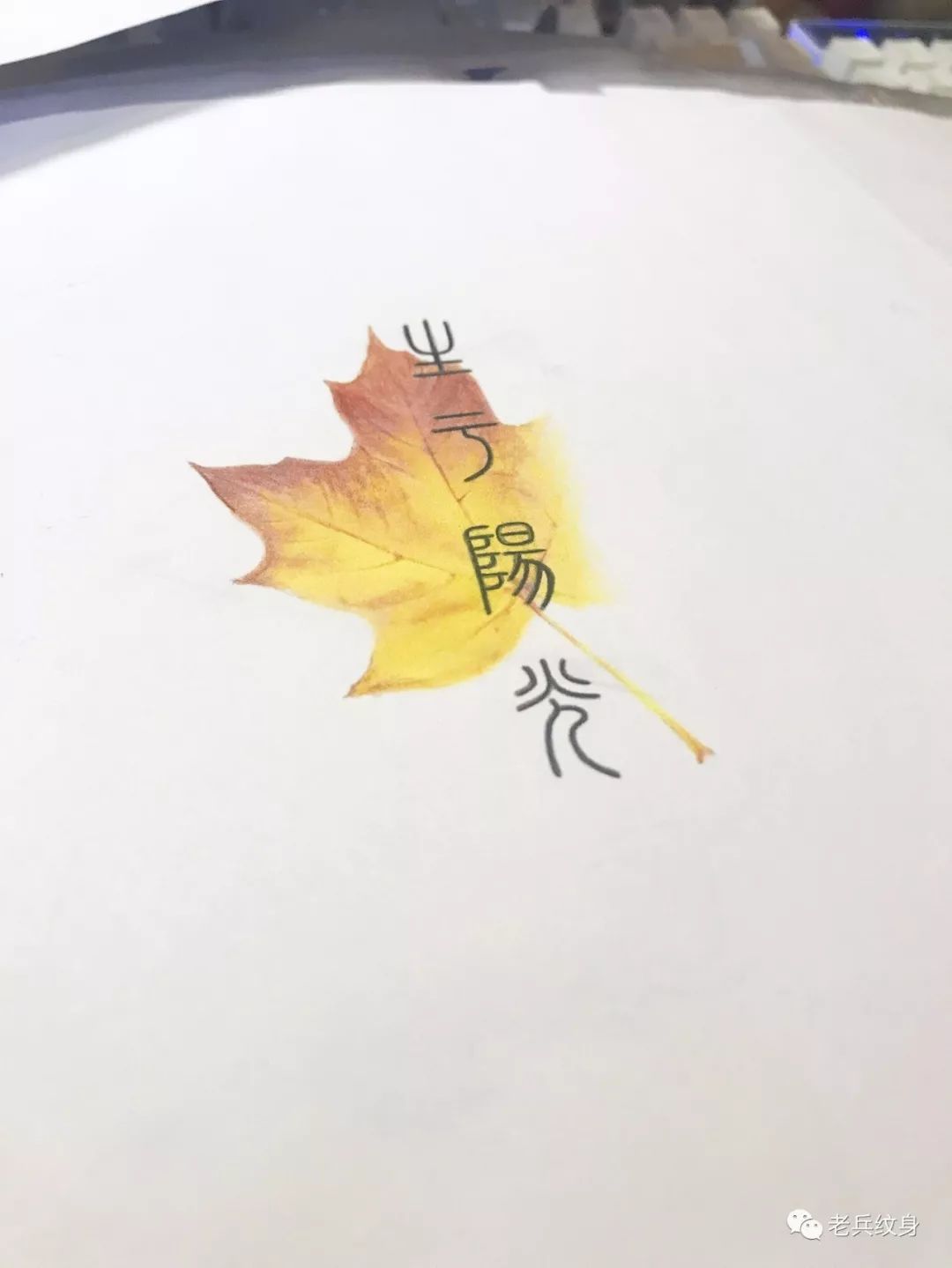 纹身的步骤有哪些视频,纹身正确操作方法