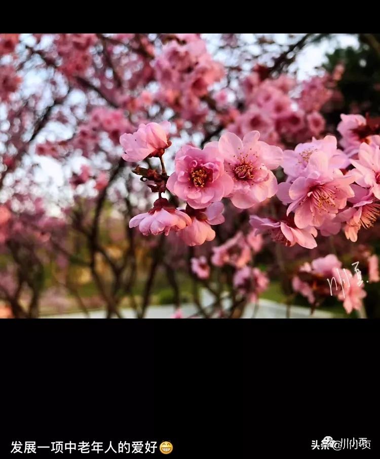 宅理财月薪3500,宅理财的现状如何