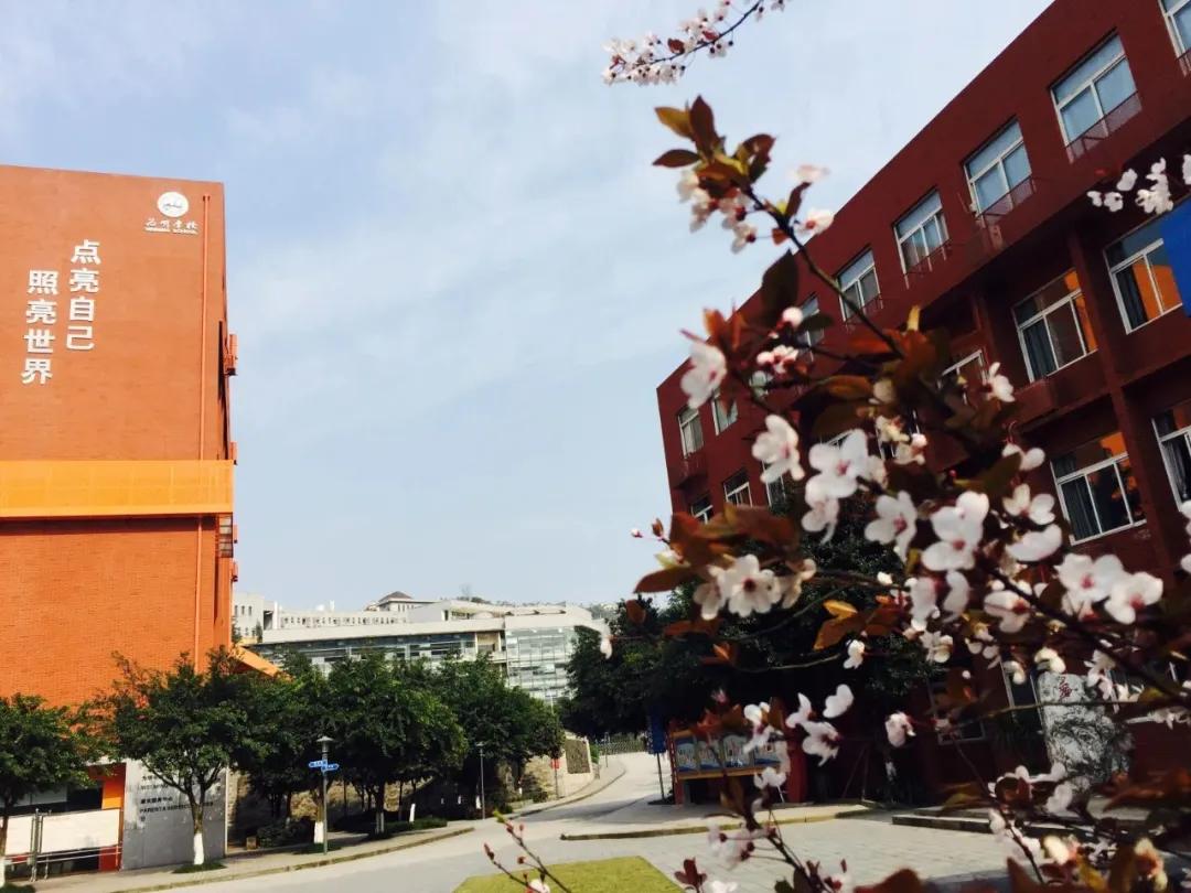 重庆两江新区最好的学校排名,重庆两江新区有什么好的学校