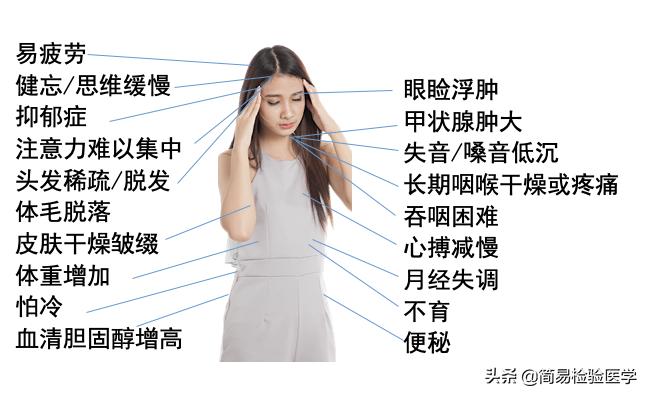 外科甲状腺疾病的思维导图,一秒看懂甲状腺报告单趣味讲解