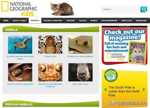 微笑围观美国网课：放过彼此，欢乐玩去吧，学习什么的都是浮云