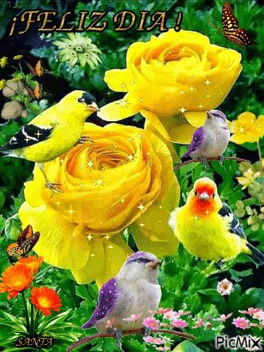 澳大利亚蚊子苍蝇,澳大利亚苍蝇泛滥成灾