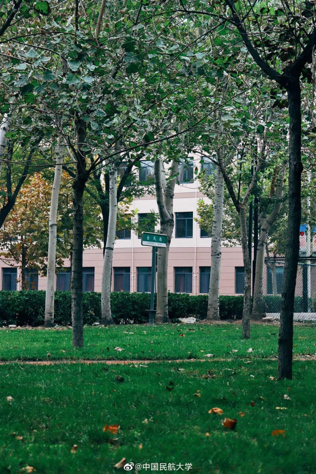 中国民航大学地位,中国民航大学很牛吗现在还有吗